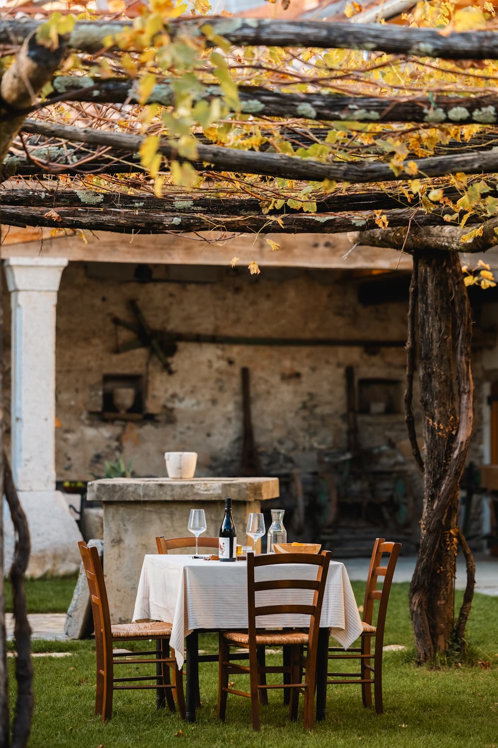 Steklenica vina na mizi na vrtu
